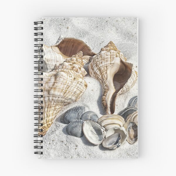 Item preview, Seashells designed and sold by Splendourlane.