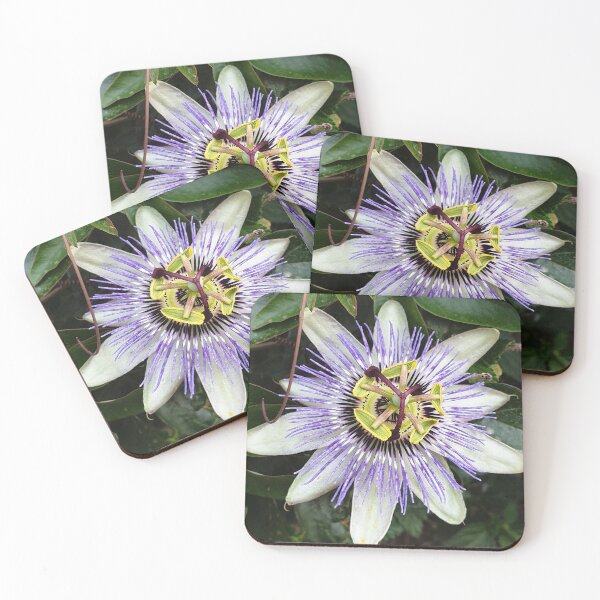 Item preview, Bizarre and beautiful purple passiflora flower (passion flower) photo designed and sold by Pixtela ..