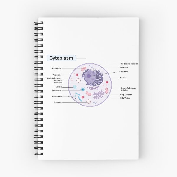 Item preview, Plant Cell Diagram designed and sold by kaylacraft3.