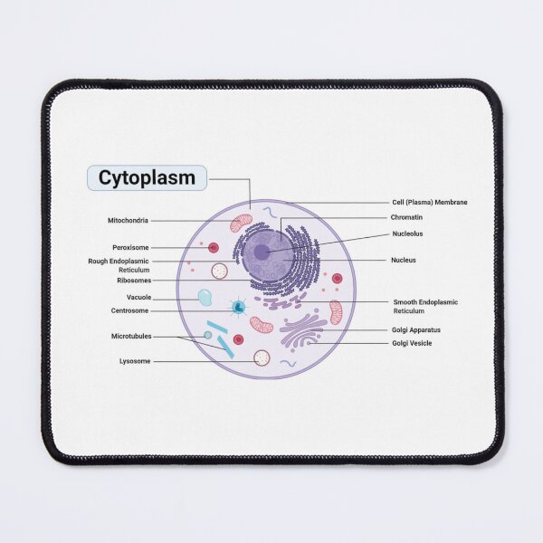 Item preview, Plant Cell Diagram designed and sold by kaylacraft3.