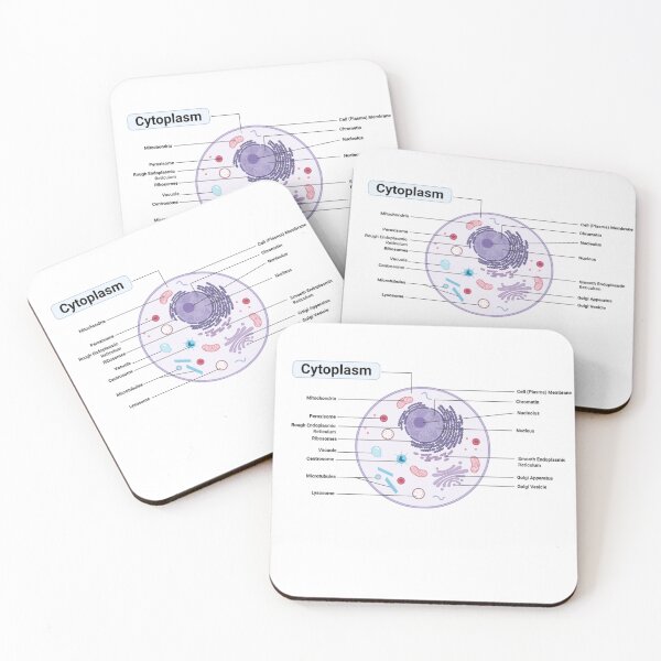 Item preview, Plant Cell Diagram designed and sold by kaylacraft3.