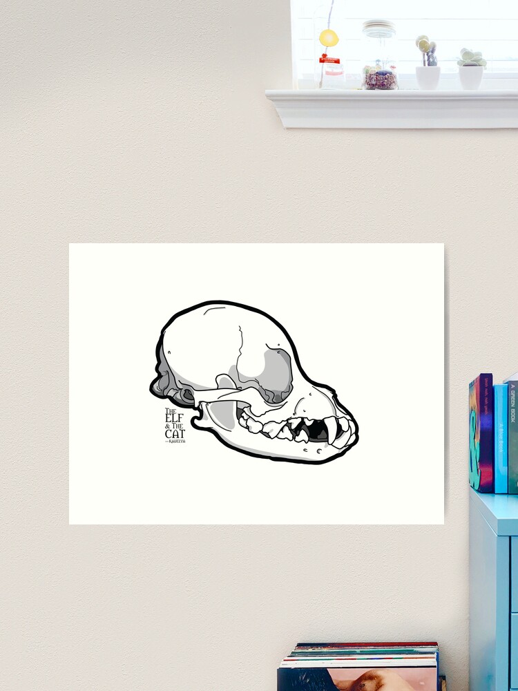 Chihuahua Skull