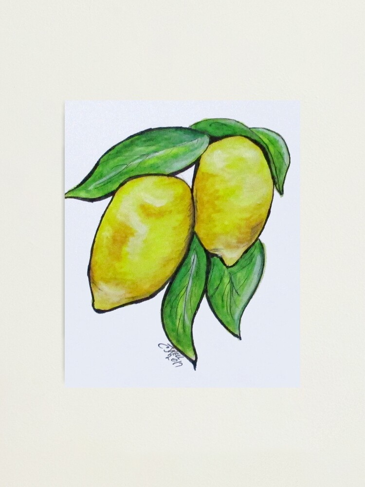 Alternate view of Two Lemons Photographic Print