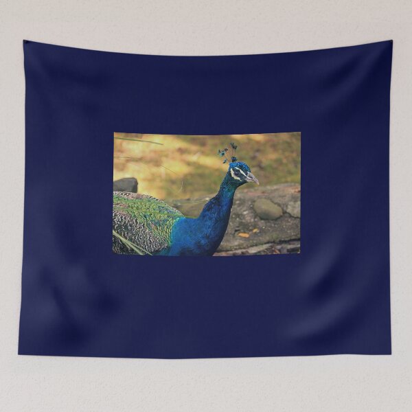 Item preview, Peacock Strut designed and sold by jenndes.