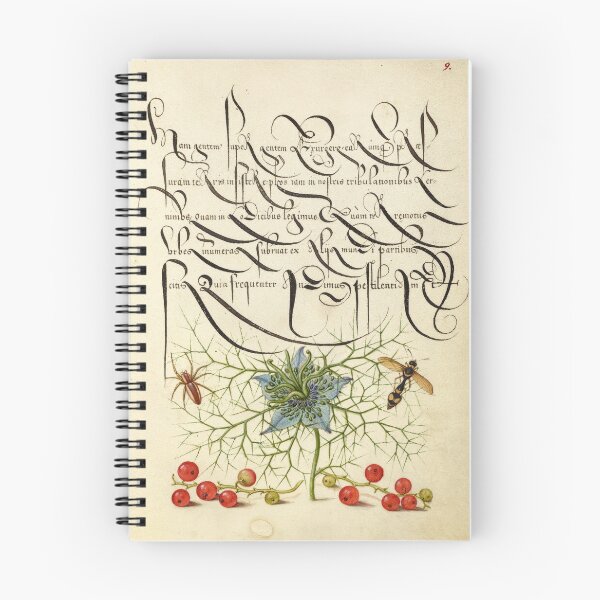 Item preview, Flower, Spider, Wasp and Redcurrant (1561-1596) - Medieval Illuminated Manuscript designed and sold by SALON DES ARTS.