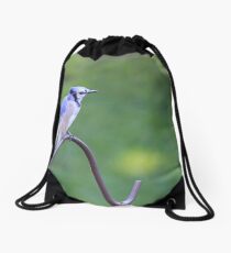 Resting Blue Jay Drawstring Bag