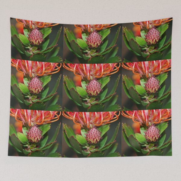 Item preview, Budding Protea designed and sold by Evita.