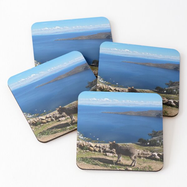 Item preview, El paraíso de los burros designed and sold by Follow the Hedgehog.