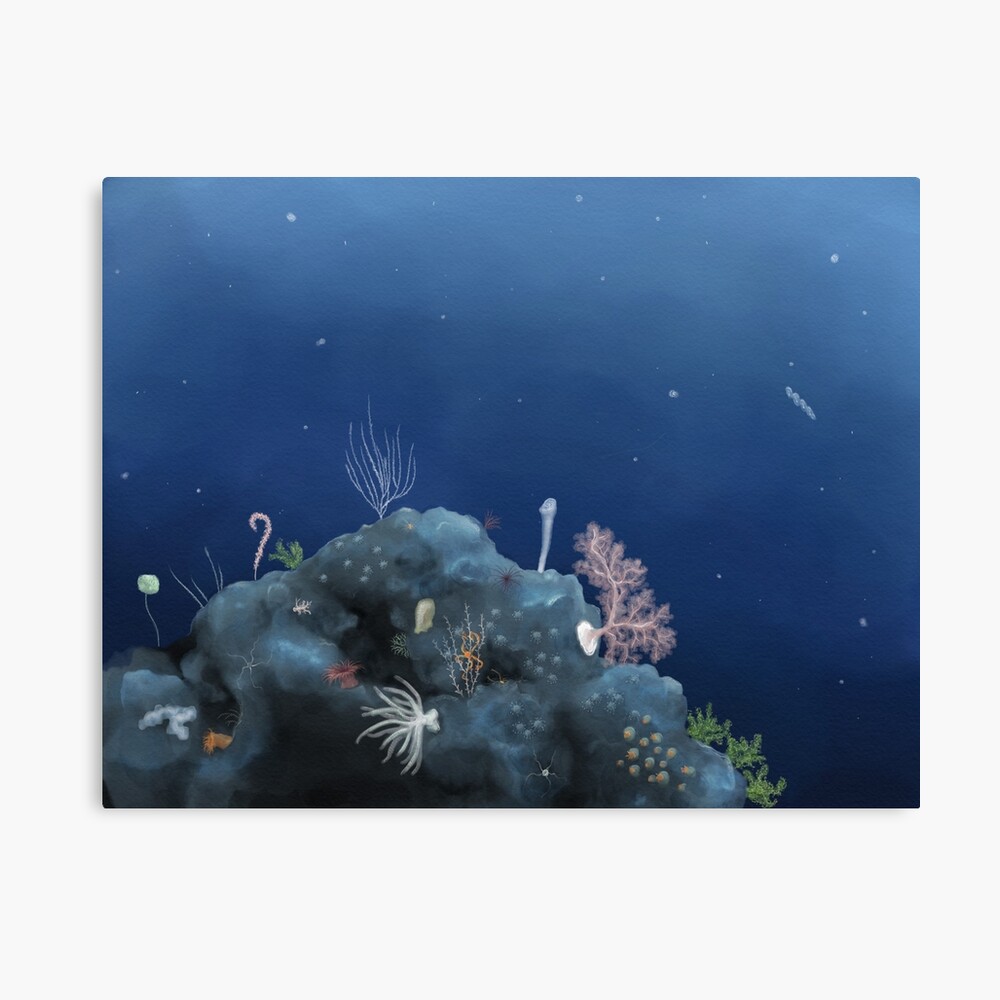 Deep ocean vista - Johnston Atoll Canvas Print