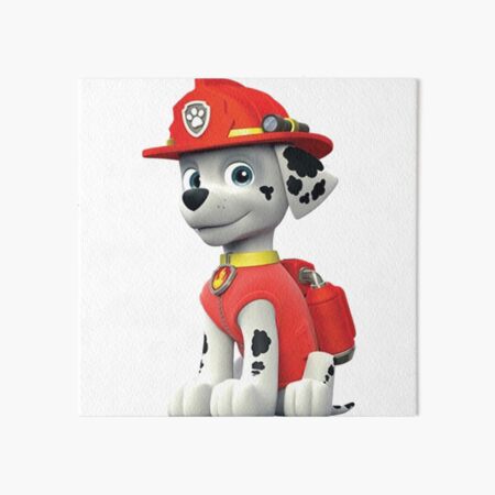 Marshall l'eroe! Paw Patrol. Charm book. Ediz. a colori. Con