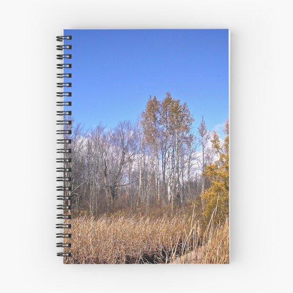 Item preview, The bog at Mer Bleue, Ottawa, Ontario designed and sold by Shulie1.
