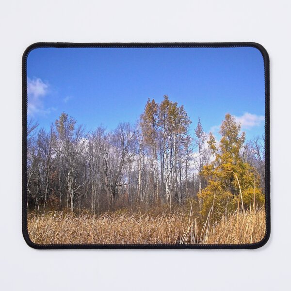 Item preview, The bog at Mer Bleue, Ottawa, Ontario designed and sold by Shulie1.