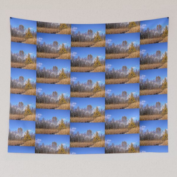 Item preview, The bog at Mer Bleue, Ottawa, Ontario designed and sold by Shulie1.