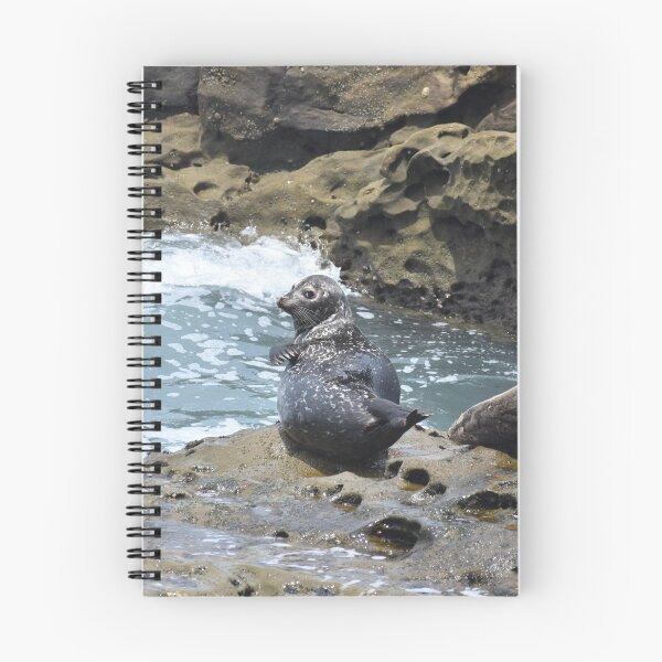 Item preview, La Jolla Seal designed and sold by brooklevan.