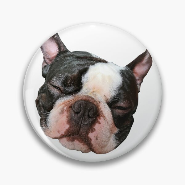 Item preview, PERRO DORMIDO designed and sold by ALICIALEE6.