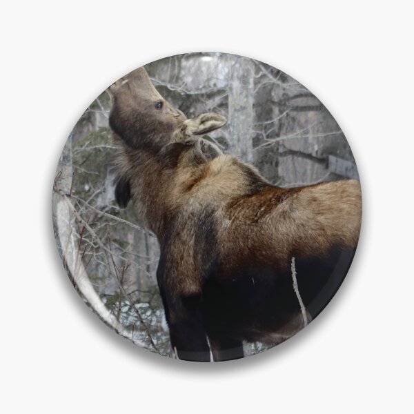 Item preview, Winter Moose designed and sold by pattymacphoto.