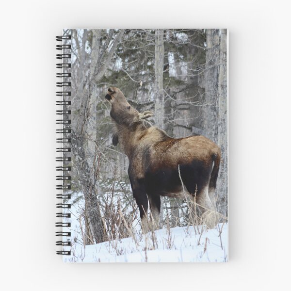 Item preview, Winter Moose designed and sold by pattymacphoto.