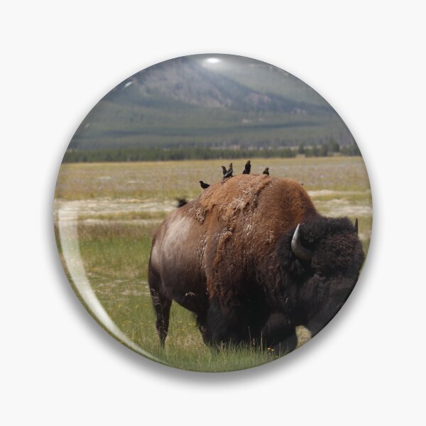 Item preview, Yellowstone Bison designed and sold by pattymacphoto.