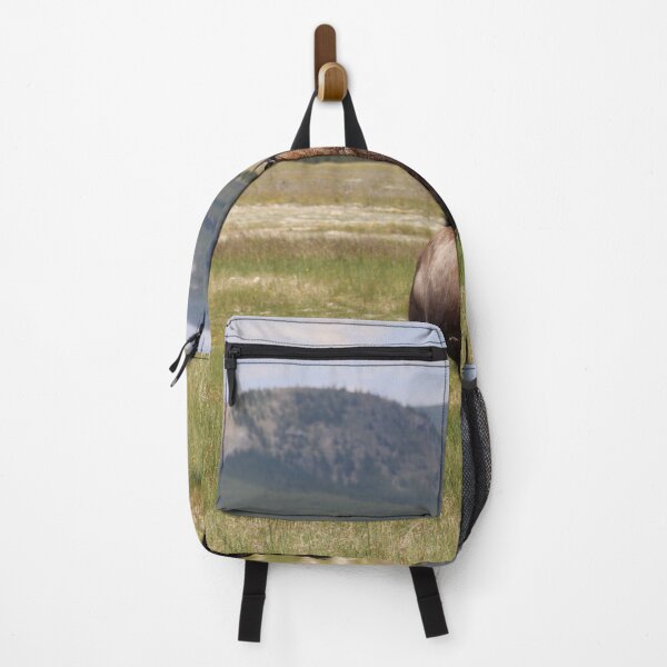 Item preview, bisonte de piedra amarilla designed and sold by pattymacphoto.