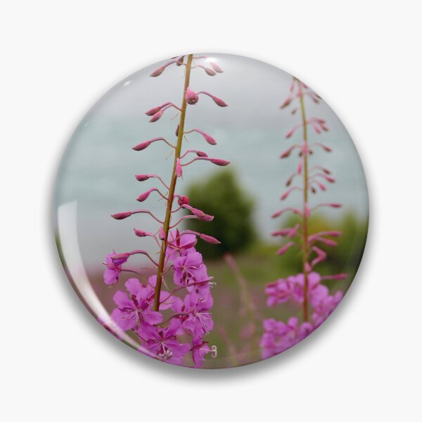 Item preview, Fireweed designed and sold by pattymacphoto.