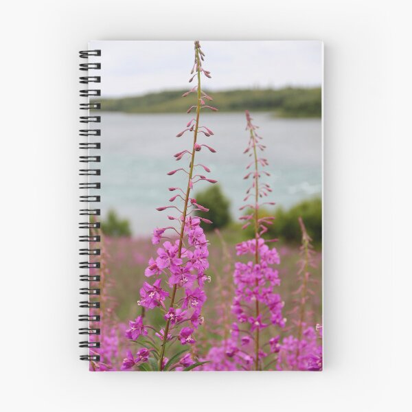 Item preview, Fireweed designed and sold by pattymacphoto.