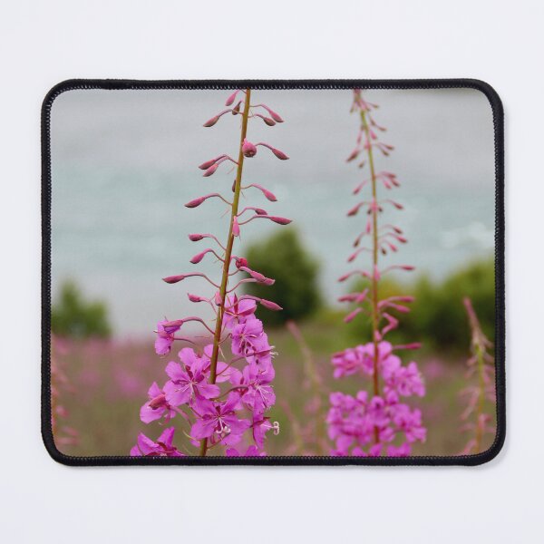 Item preview, Fireweed designed and sold by pattymacphoto.