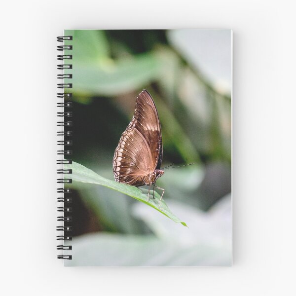 Item preview, 72217 Brown skipper designed and sold by pcfyi.