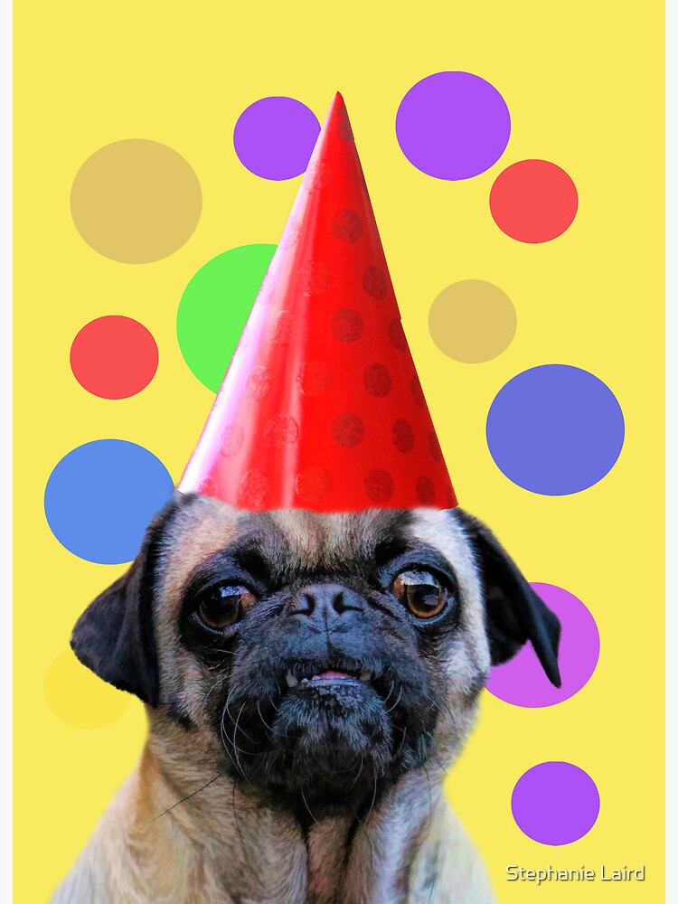 Pug with hot sale party hat