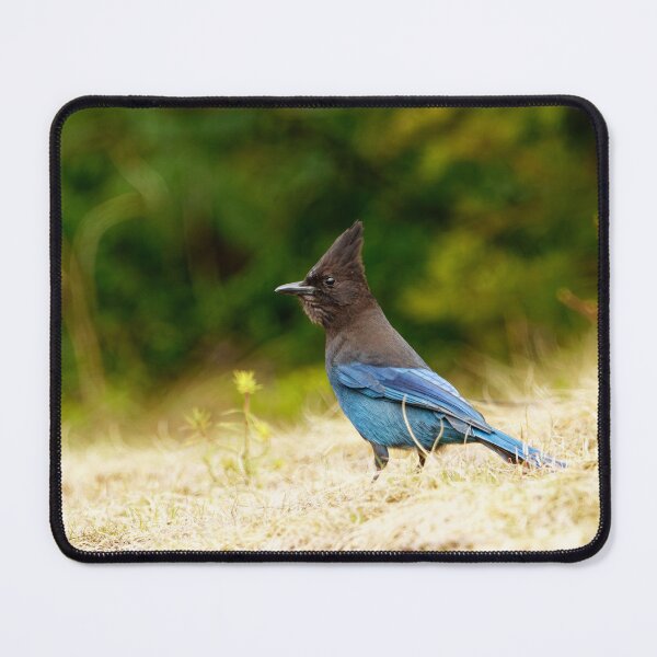 Item preview, Mountain Jay Being Goth designed and sold by Natural-Habitat.