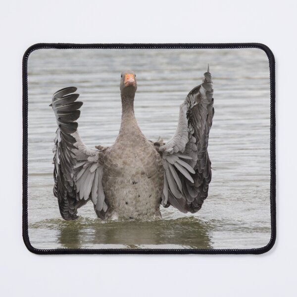 Item preview, Greylag Goose designed and sold by LaurenTucker.