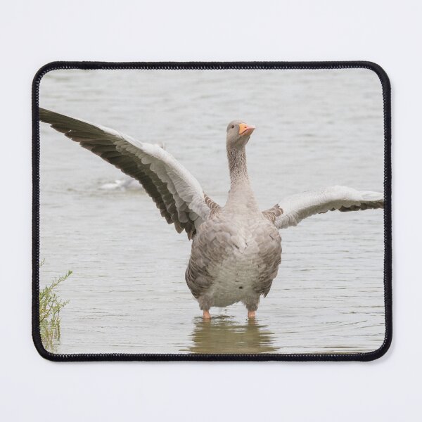Item preview, Greylag Goose designed and sold by LaurenTucker.