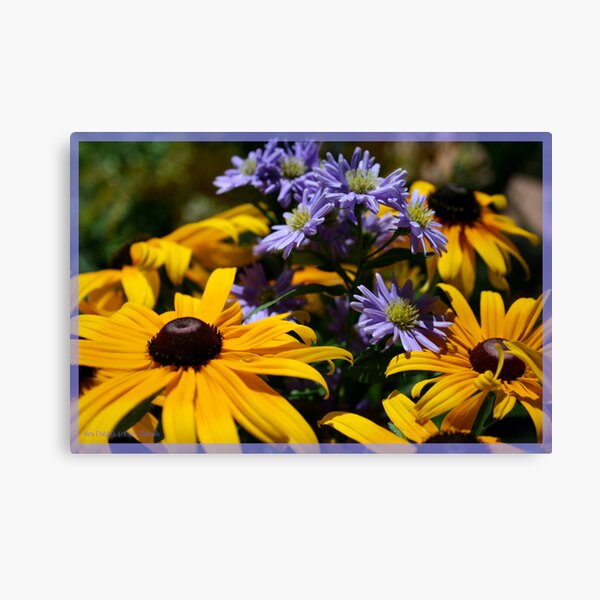 Item preview, Smiling Suns Mixed with Delicate Purples designed and sold by Nira Dabush.