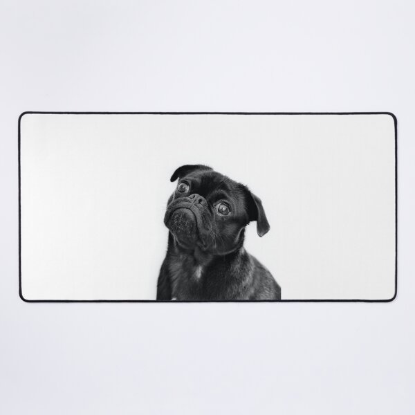 Item preview, Black Pug designed and sold by luanilus.