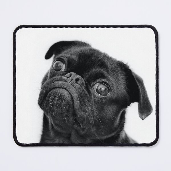 Item preview, Black Pug designed and sold by luanilus.