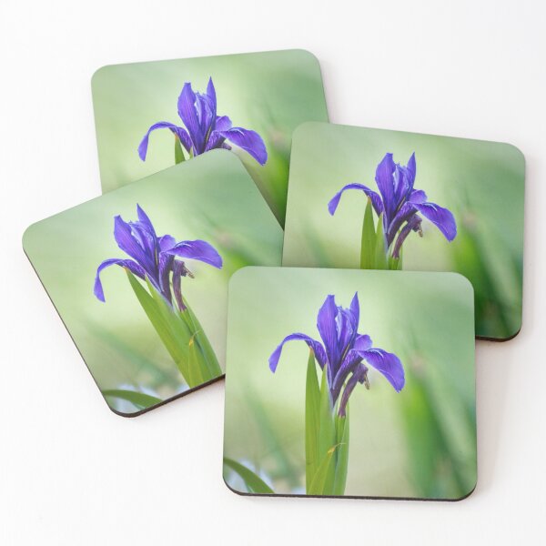 Item preview, Douglas iris opening designed and sold by Art in Nature.