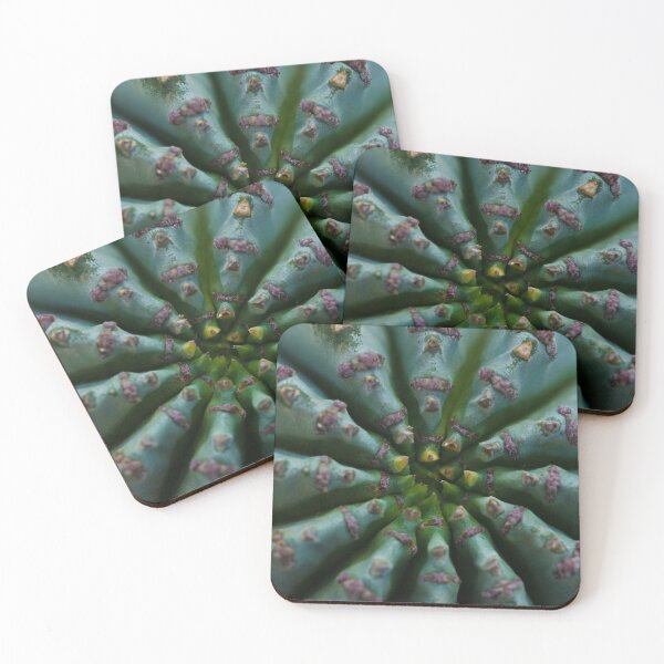 Item preview, Succulent designed and sold by akiobsession.