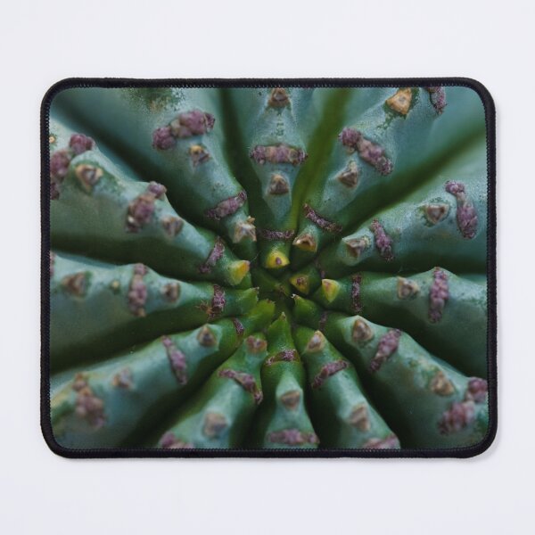 Item preview, Succulent designed and sold by akiobsession.