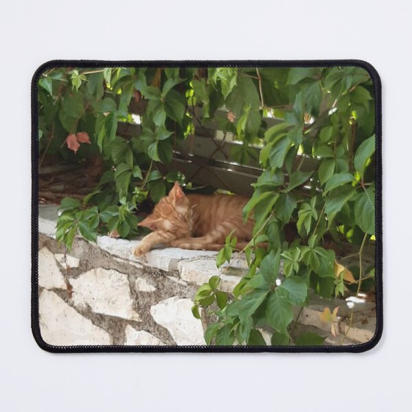 Item preview, Cute sleeping ginger kitten designed and sold by rosacooper.