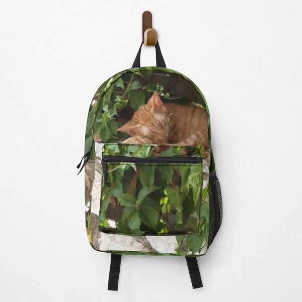 Item preview, Cute sleeping ginger kitten designed and sold by rosacooper.