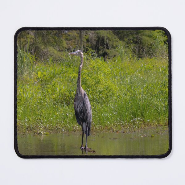 Item preview, Great Blue Heron Bird in Tall Grass designed and sold by SafariByMarisa.