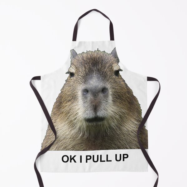 Item preview, CapyBarra Ok i Pull Up designed and sold by willthelad.
