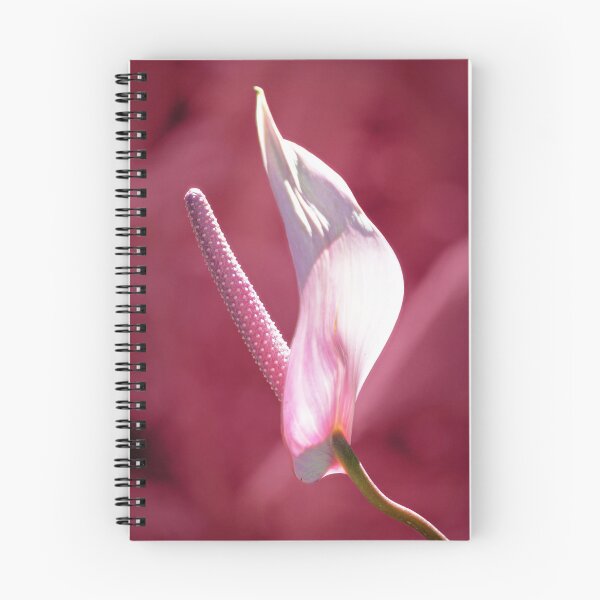 Item preview, Pink Anthurium designed and sold by Ellen Cotton.