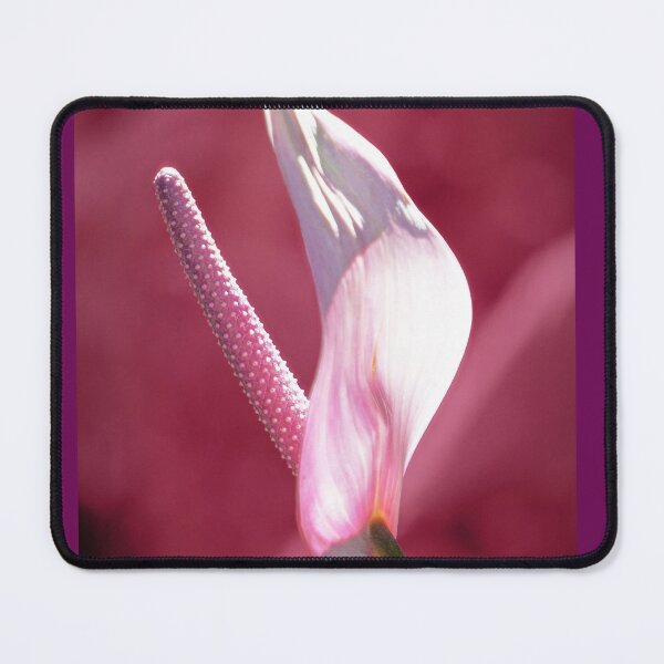 Item preview, Pink Anthurium designed and sold by Ellen Cotton.