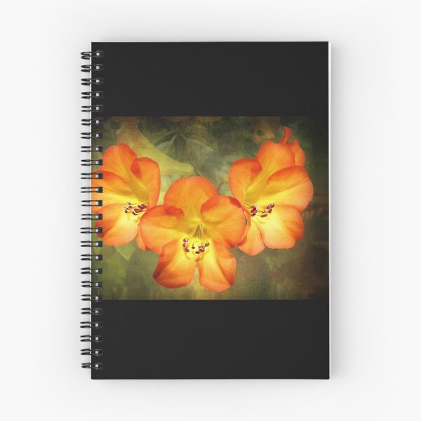 Item preview, Three Hawaiian Beauties designed and sold by Ellen Cotton.