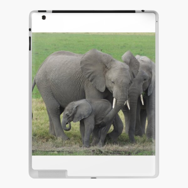 Elephant Family Photo iPad Skin