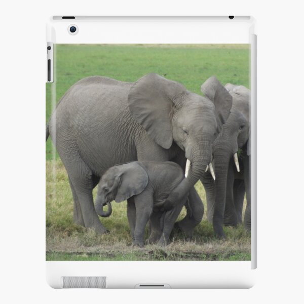 Elephant Family Photo iPad Snap Case