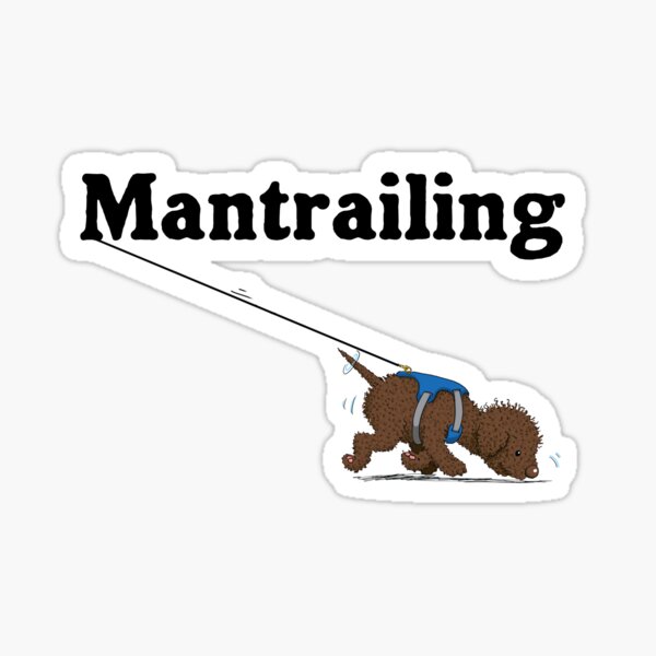 Mantrailing brauner Lagotto Romagnolo Sticker