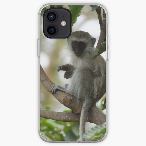 Vervet Monkey iPhone Soft Case