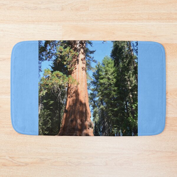 Item preview, Giant Sequoia Tree in National Sequoia Park, california, USA. designed and sold by naturematters.