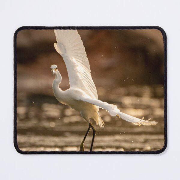 Aperçu de l'œuvre Aigrette neigeuse dansant dans l'air créée et vendue par BowToe.